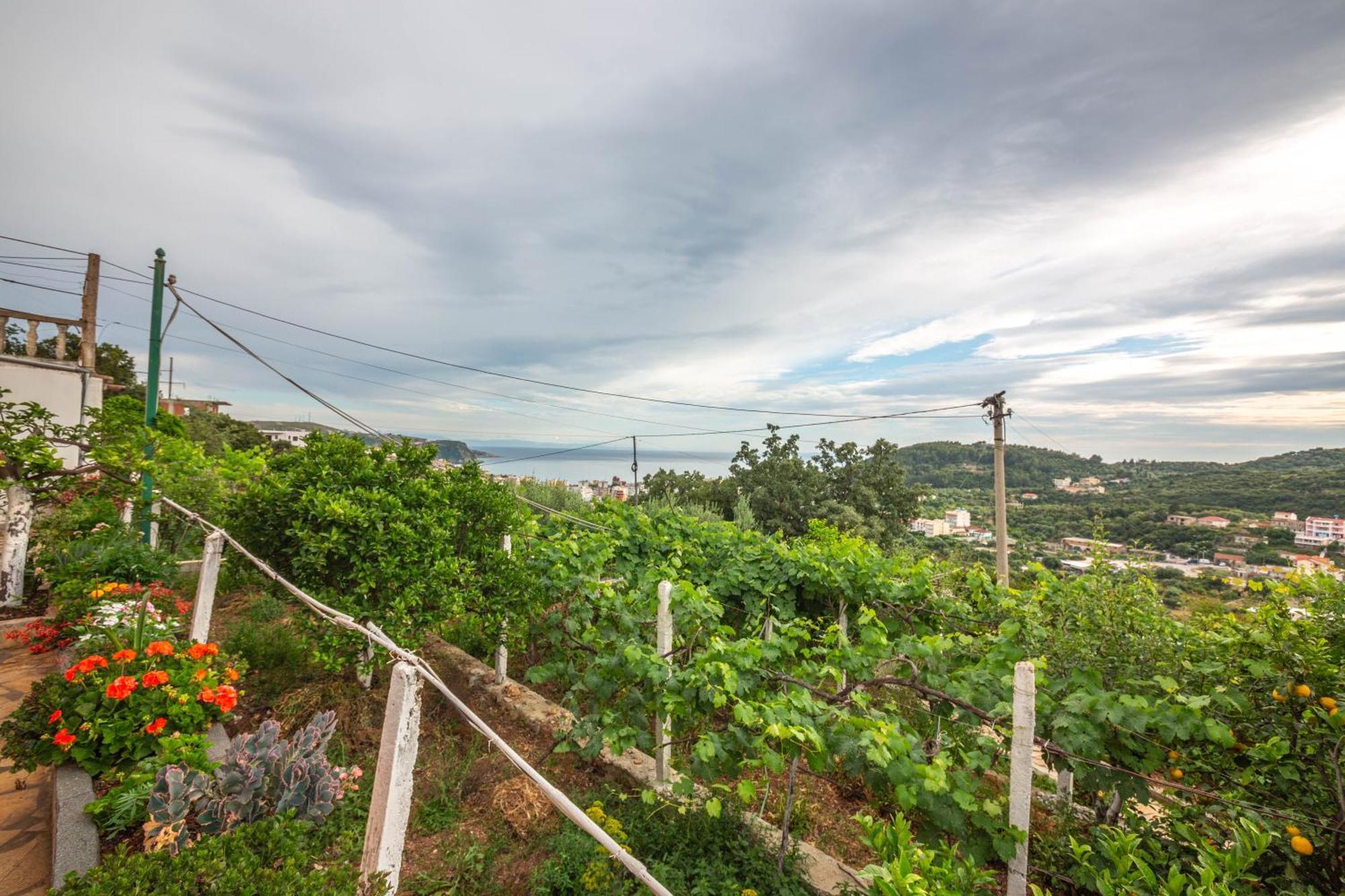 Villa Rondo Himara Zewnętrze zdjęcie